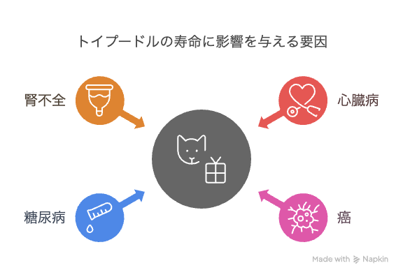 トイプードルの主な死因