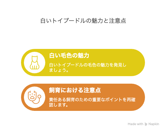 白いトイプードルの魅力と注意点まとめ