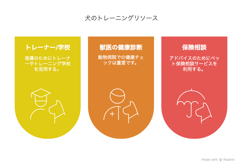 トイプードルの噛み癖に悩んだときの相談先
