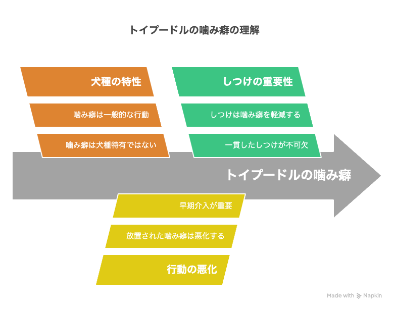 トイプードルの噛み癖に悩む飼い主さんへ