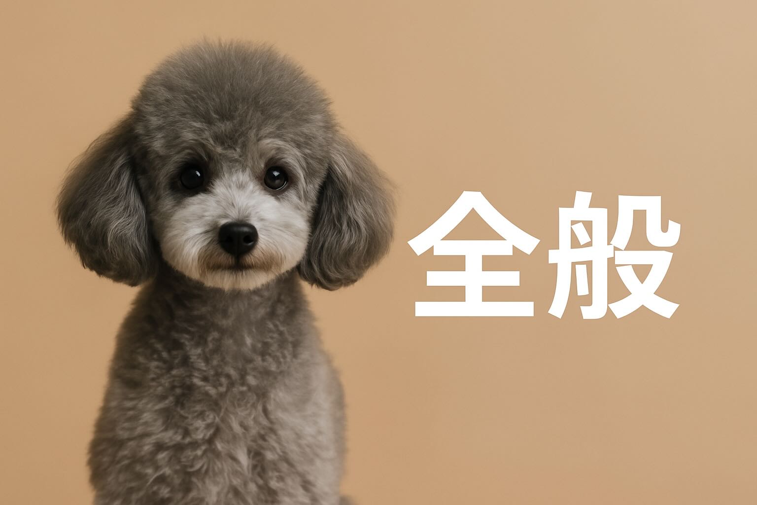 全般