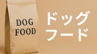 ドッグフード