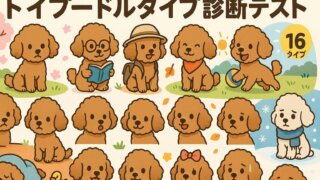 トイプードル16タイプ診断