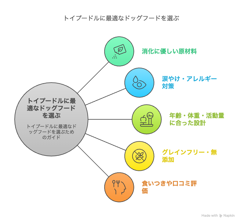 トイプードルに合ったドッグフードの選び方とは？