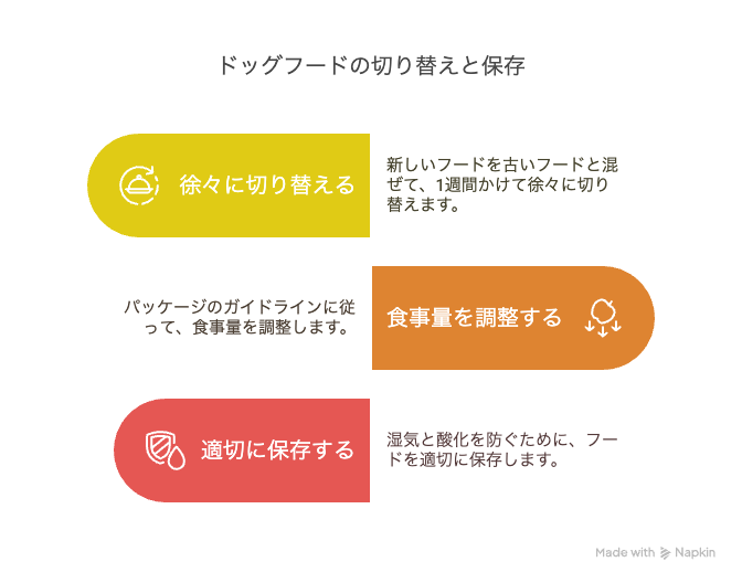 ドッグフード選びの注意点と与え方のコツ