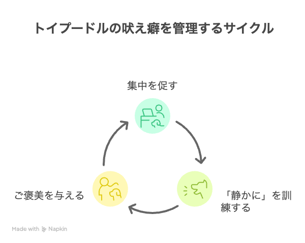 しつけ成功のための具体的なトレーニング方法
