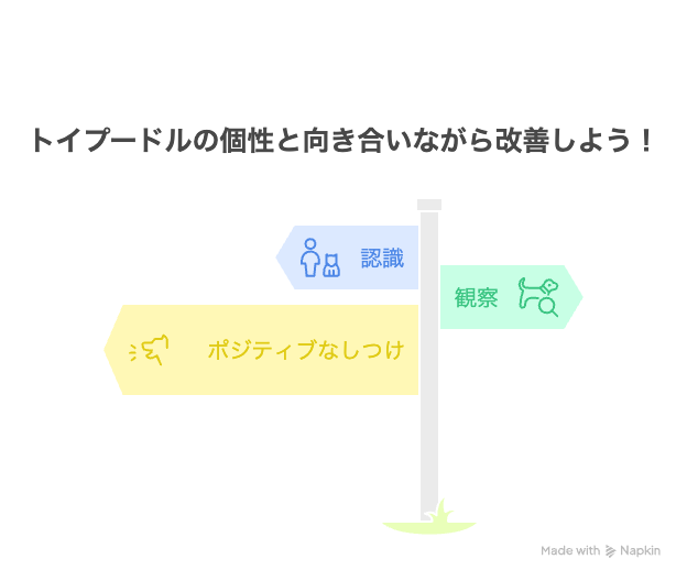トイプードルの個性と向き合いながら改善しよう