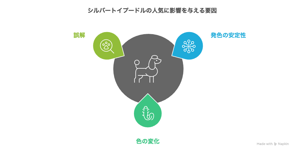 なぜシルバーのトイプードルは「人気ない」と言われるのか？