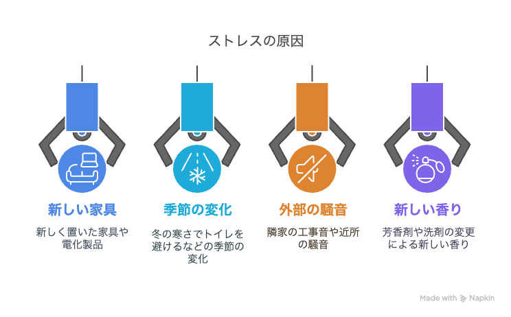 トイプードルがトイレを失敗する主な原因とは？