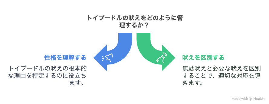 トイプードルは無駄吠えが多いって本当？