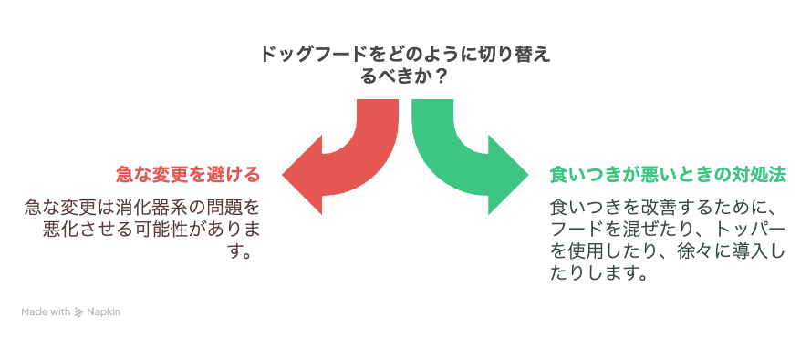 ドッグフードの切り替え方と注意点