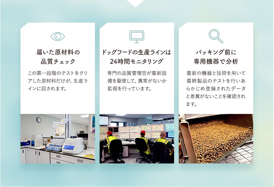 モグワンとは？特徴や基本情報まとめ